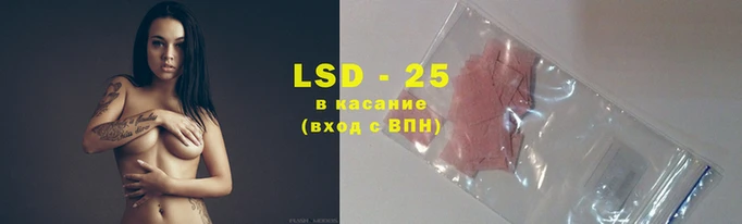 a pvp Алзамай