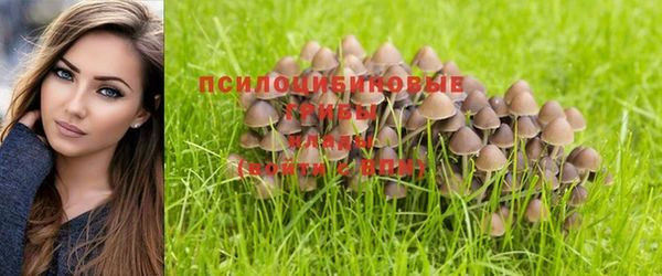 прущие крисы Алексеевка