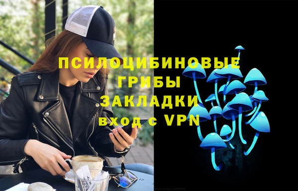 прущие крисы Алексеевка