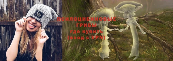 прущие крисы Алексеевка