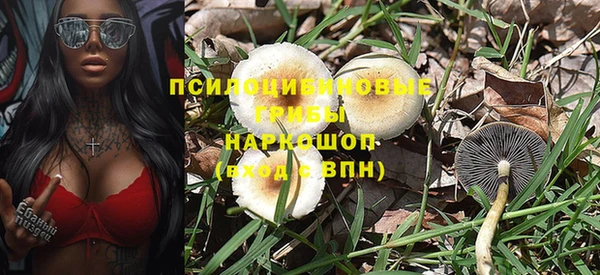 a pvp Алзамай