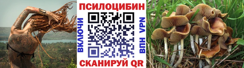 Псилоцибиновые грибы мицелий  Щигры 