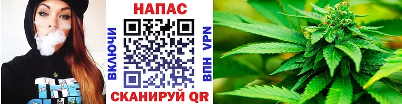 Каннабис семена  MEGA ссылка  Щигры 